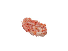 TARTARE DI GAMBERO ROSSO 80GR (50X80GR) TARTARE DI GAMBERO ROSSO 80GR (50X80GR)
