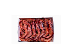 GAMBERO ROSSO 31/45 (L) 1KG GAMBERO ROSSO 31/45 (L) 1KG