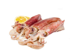 SQUID WHOLE CLEANED 20/40 PACIFIC (25% GLAZE) 1KG SQUID WHOLE CLEANED 20/40 PACIFIC (25% GLAZE) 1KG