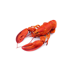 LOBSTER FROZEN  200/300GM