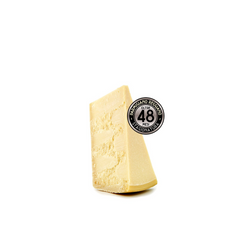 PARMIGIANO REGGIANO 48M 250G