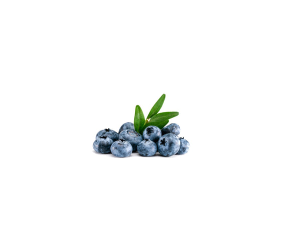 BLUEBERRY 125G