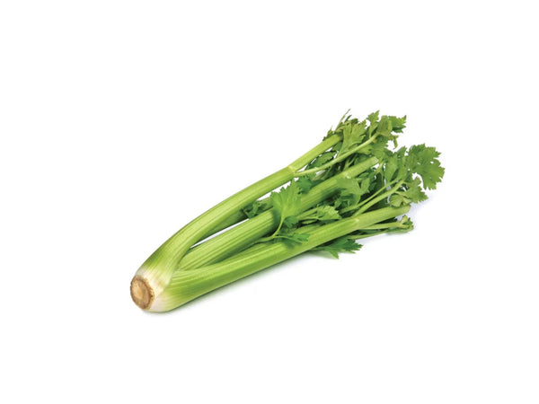 CELERY 1KG