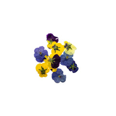 EDIBLE FLOWERS (25PCS)