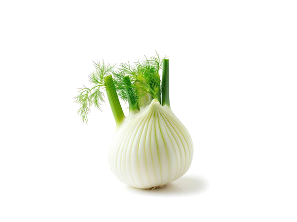 FENNEL 1 KG