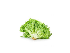 LETTUCE FRISE 2KG