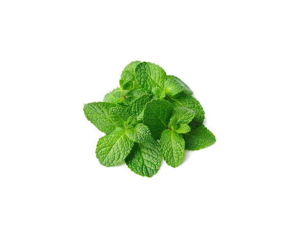 MINT LEAVES 1KG
