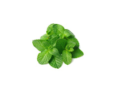 MINT LEAVES 1KG