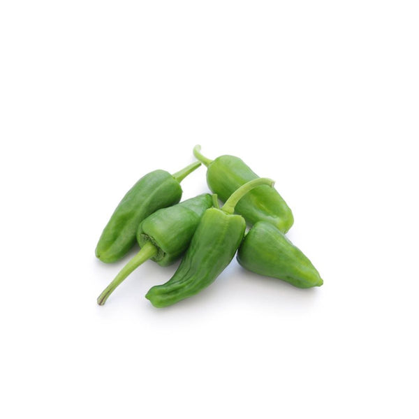 PIMIENTO DEL PADRON 500GR