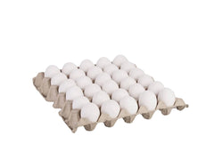 EGG IN SHELL WHITE LARGE 12X30 - 360EGGS