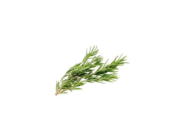 ROSEMARY 1 KG