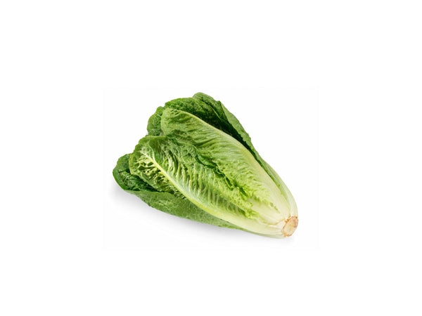 ROMAIN LETTUCE 1 KG