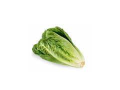ROMAIN LETTUCE 1 KG