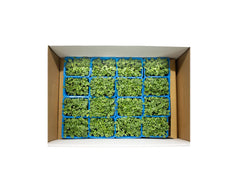 SAKURA MIX 16PUNNET PER PACK