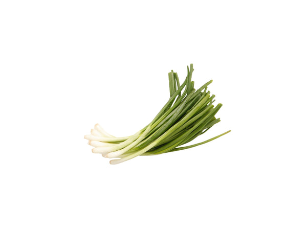 SPRING ONION 1 KG