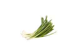 SPRING ONION 1 KG