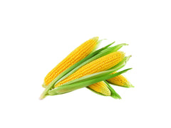 SWEET CORN 500 GR