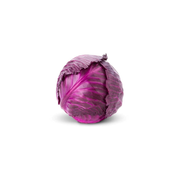 CABBAGE RED 1.2KG