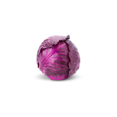CABBAGE RED 1.2KG