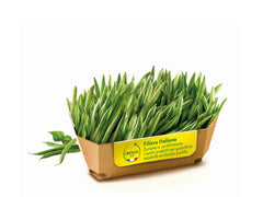 OROGEL FROZEN FINE GREEN BEANS 2.5KG BAG