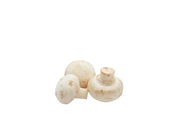 MUSHROOM BUTTON 2KG