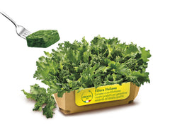 OROGEL FROZEN FRIARIELLI WHOLE LEAF PORTIONS 1KG BAG