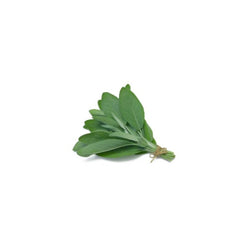SAGE 50GR