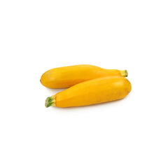 ZUCCHINI YELLOW 1KG